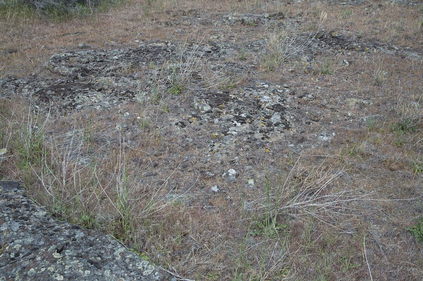 The confluence point lies in a lava field turned sagebrush desert