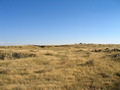 #3: View South