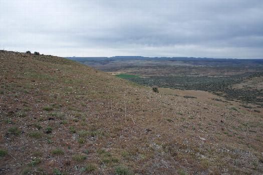 #1: The confluence point lies on a grass-covered hillside.  (This is also a view to the North, down a valley towards a neighboring farm.)