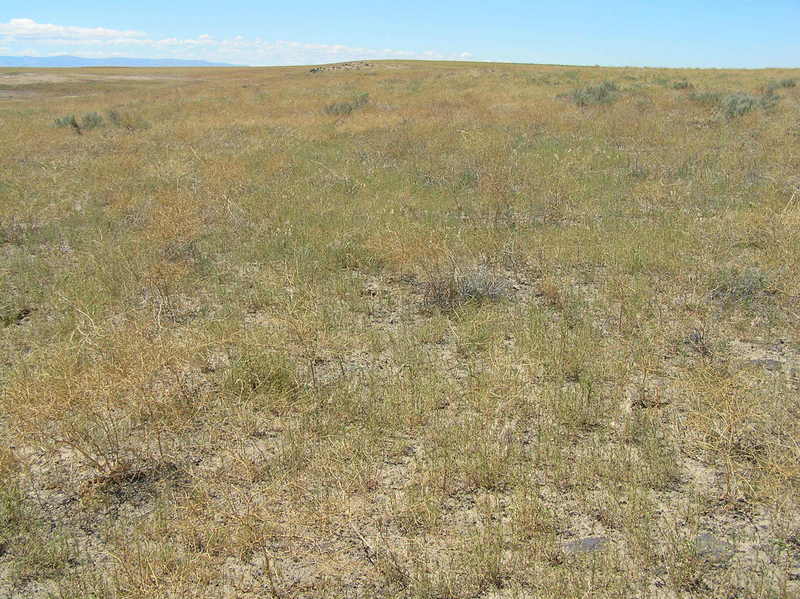 The confluence of 43 North 116 West lies in the foreground of this image, looking north-northwest.