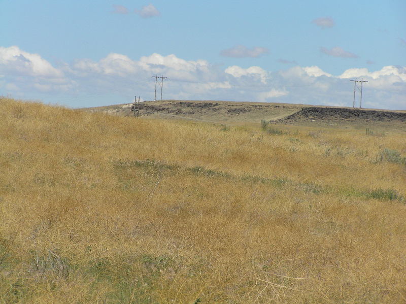 View to the east from the confluence point.