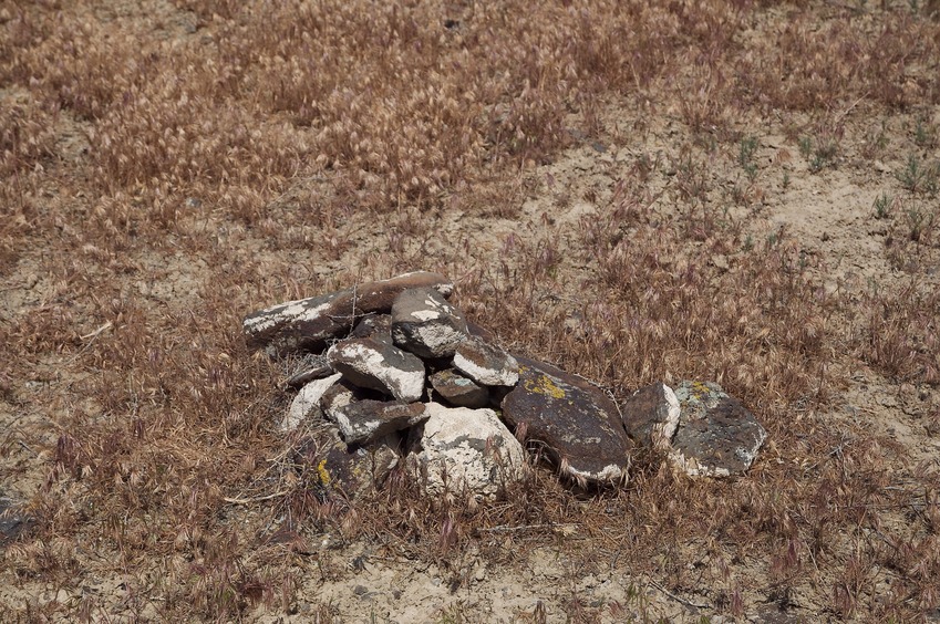 The confluence point lies in arid terrain, with little growing except dry grass.  (A rock cairn left by previous visitors marks the point.)