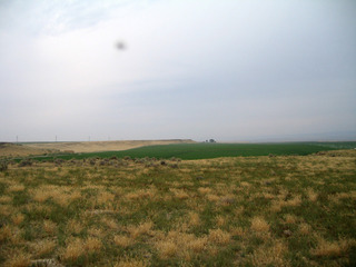 #1: View South