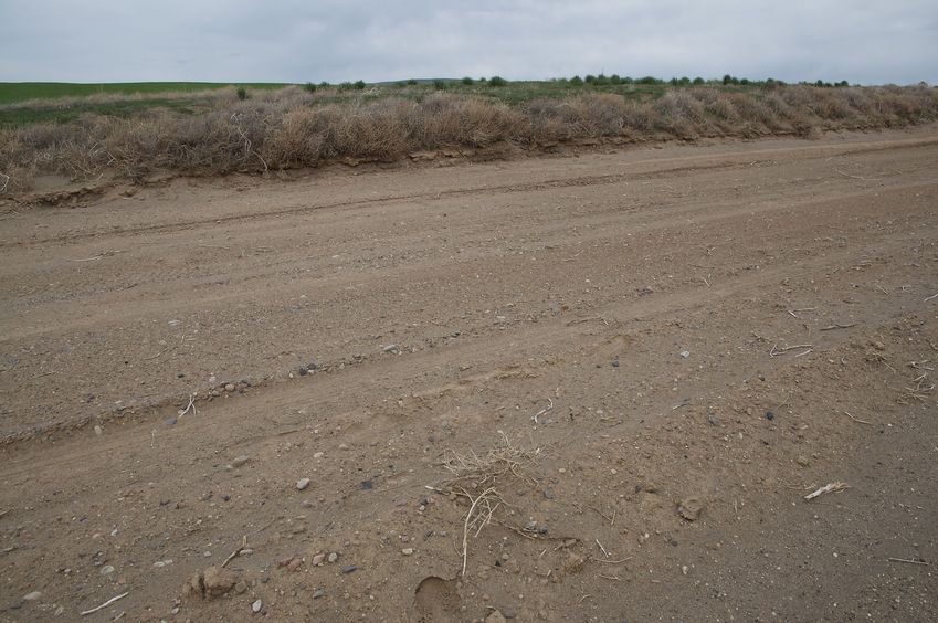 The confluence point lies on this dirt road, which runs along the 44 degree north line of latitude