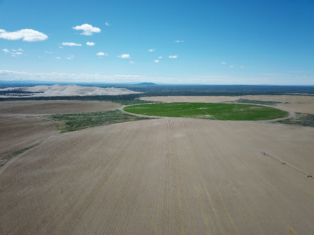 View South, from 120m above the point