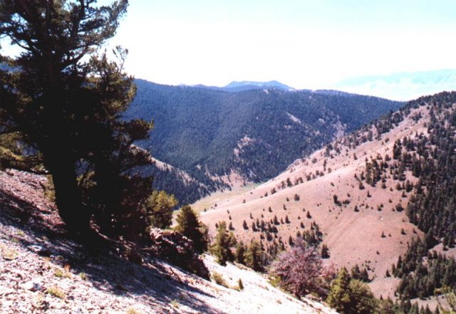 looking south, with North Creek canyon bottom visible