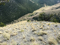#8: Top of ridge looking down trail