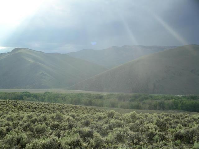 looking west (thunderstorm approaching)
