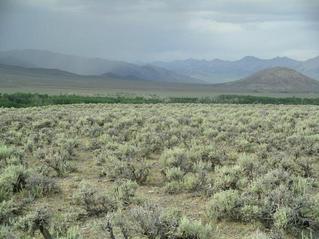 #1: looking north (where it was raining)