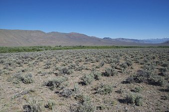 #1: View North