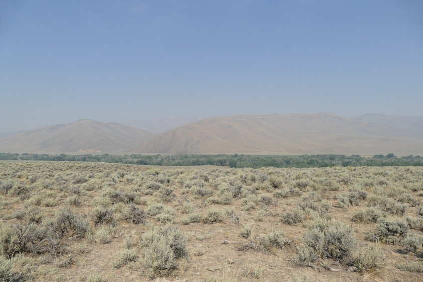 View east