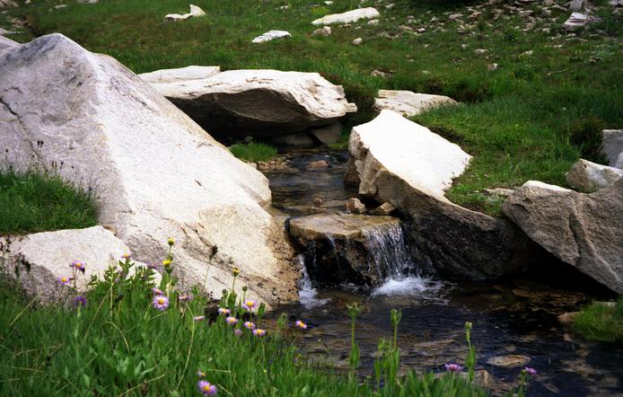 A stream feeding Hidden Lake