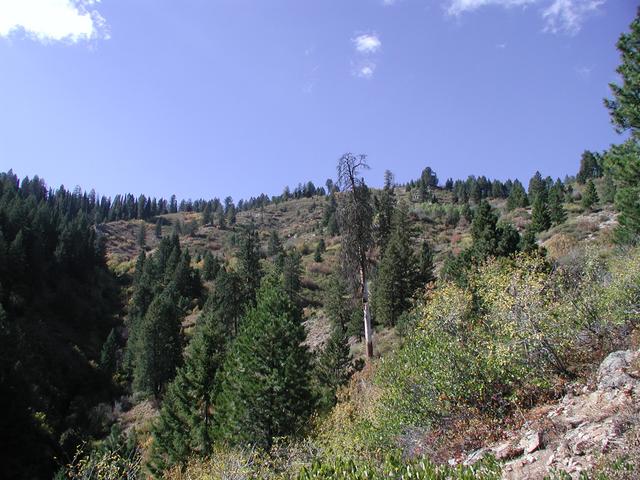 West (from ridge line about 50 - 75 feet above confluence)