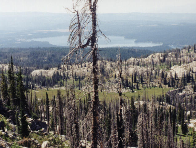 From ridge east of confluence, showing McCall and Payette Lake