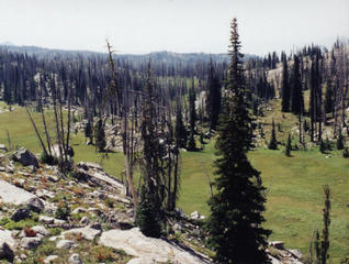 #1: Looking south, with Squaw Lake barely visible in the distance