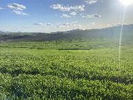 #5: View to the west from the confluence point. 