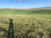 #9: The confluence point lies on the slope in the distance, straight up from the shadow of my head. 