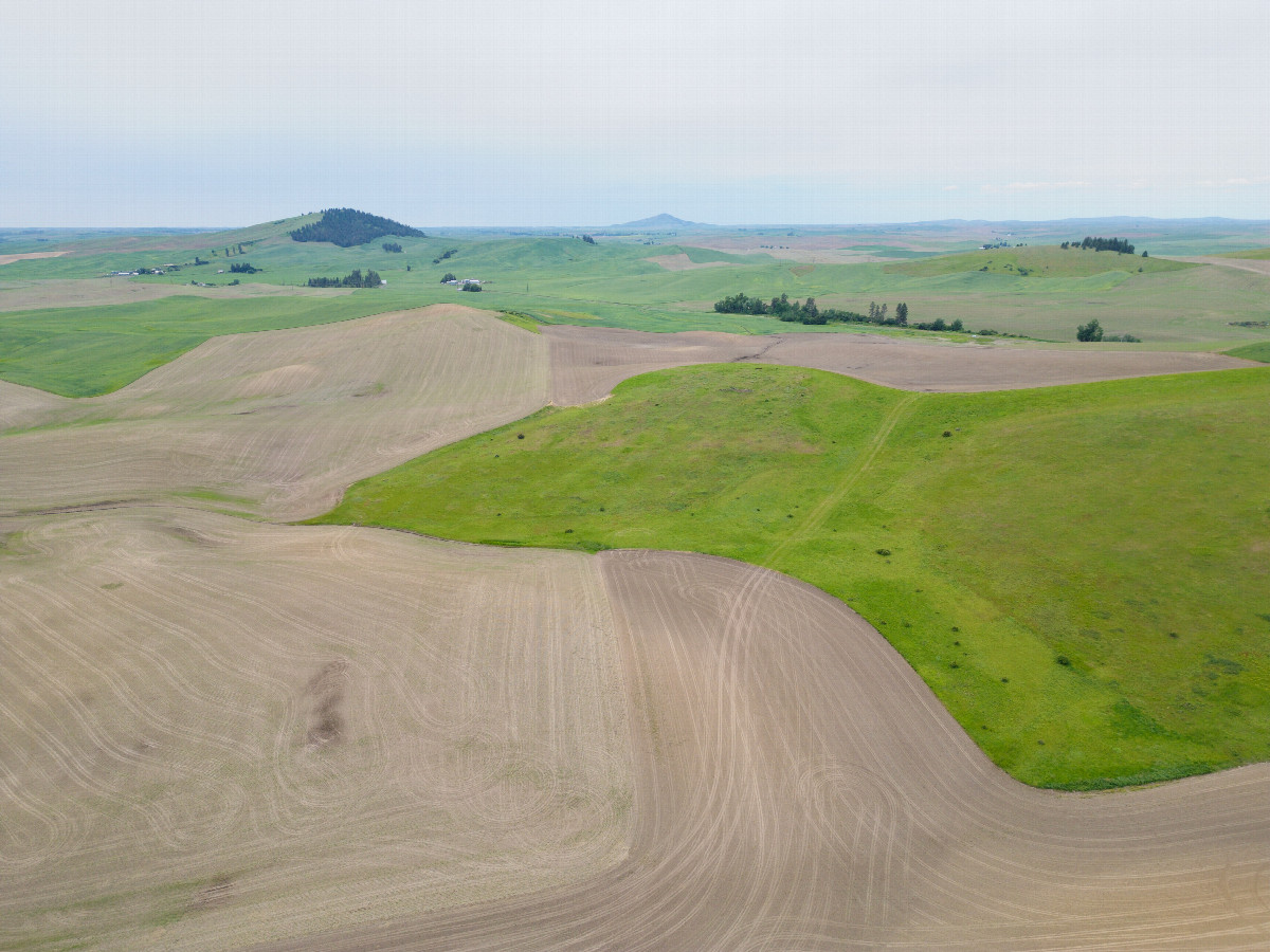 View West, from 120m above the point