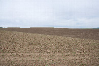 #2: View East