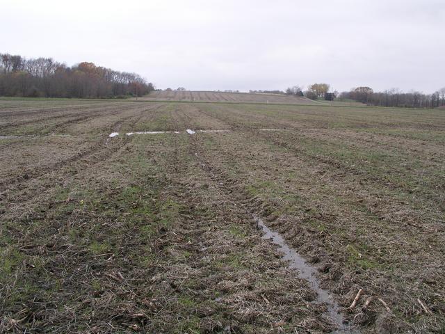 Looking west from 38N 89W