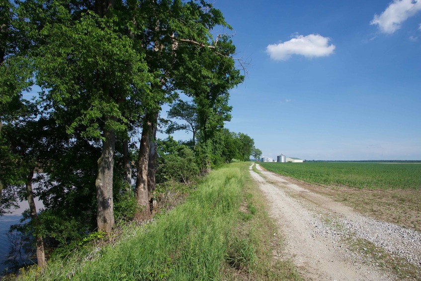 View East (from the top of the levee, 20 feet from the point)