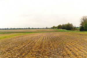 #1: looking east from the confluence