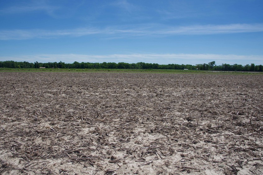 View South (towards railroad tracks, just 240 feet away)