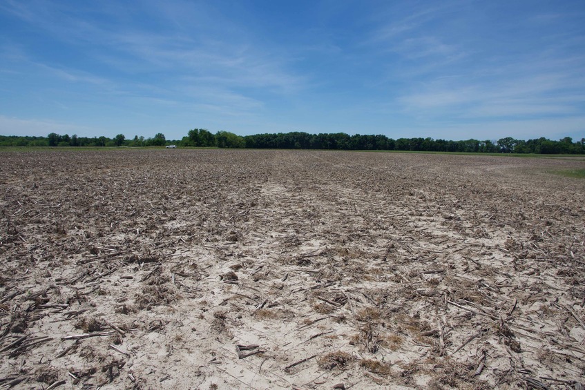 View West (towards a country road, 0.1 miles away)