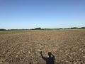 #5: View to the east from the confluence point. 