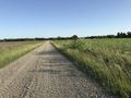 #9: Nearest road to the confluence, running north-south, west of the point. 