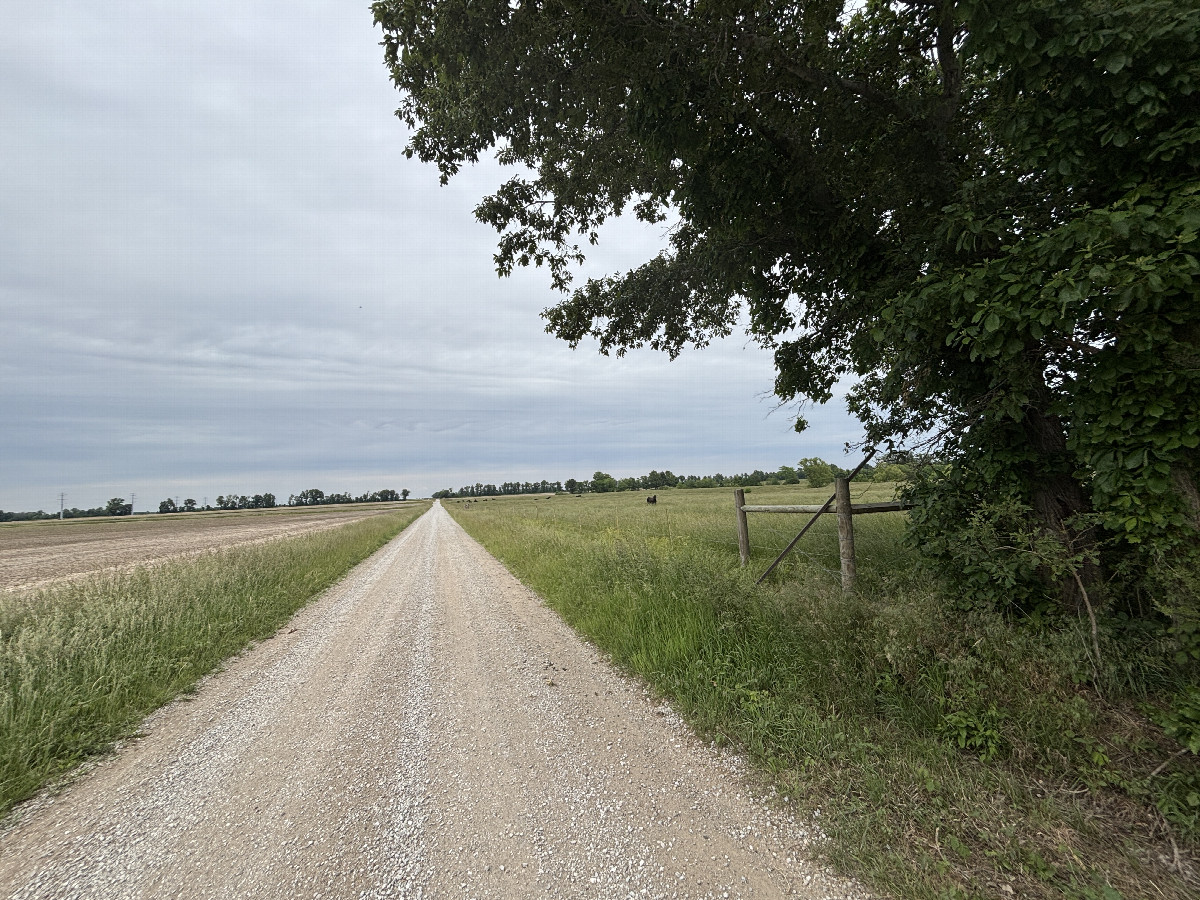 Nearest road to the confluence point, looking north. 