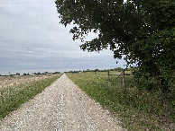 #11: Nearest road to the confluence point, looking north. 