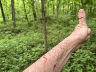 #9: Getting scraped on the way to the confluence point. 
