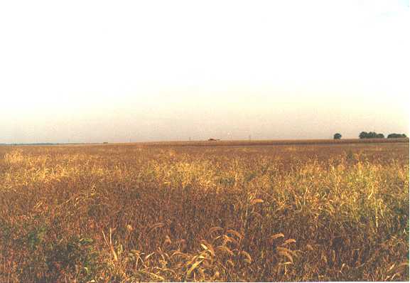 looking due north from the confluence