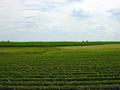 #4: South from the confluence