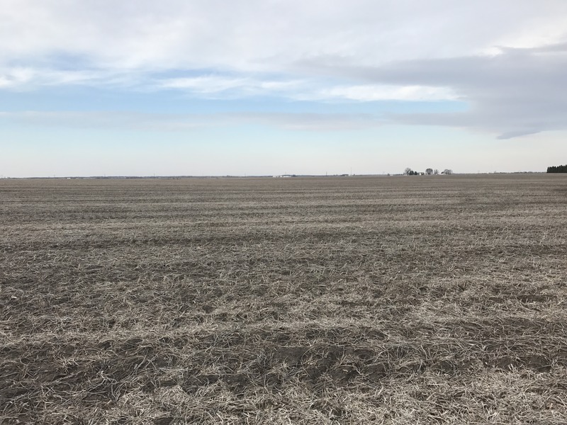 Looking north from the confluence of 40 North 88 West.