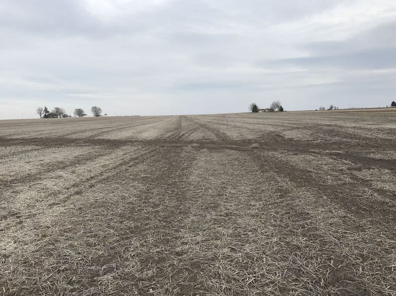 Looking east from the confluence of 40 North 88 West.