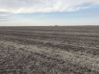 #1: The confluence of 40 North 88 West, in the foreground, looking northwest.