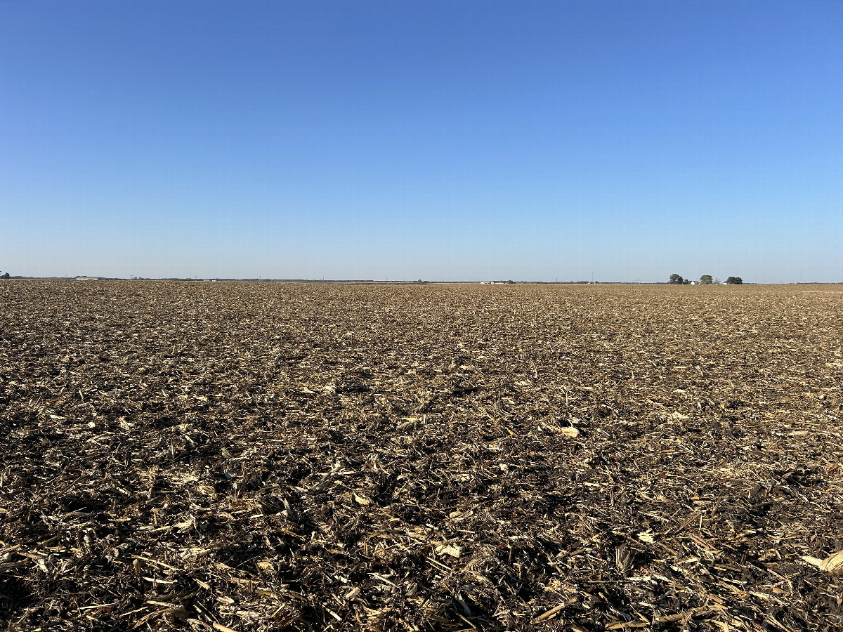 A view to the north from the confluence, toward various farmsteads