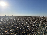 #5: A view toward the west from the confluence, toward more farmsteads