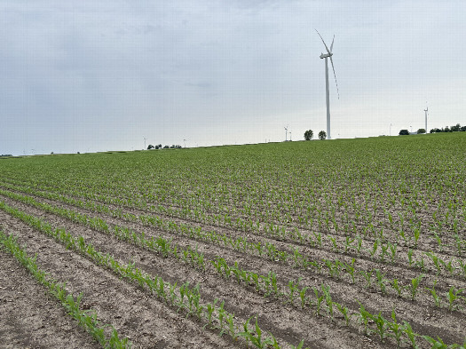 #1: The confluence of 40° north 89° west lies in the foreground of this photo looking north Northwest