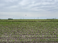 #4: A view to the south from the confluence point.