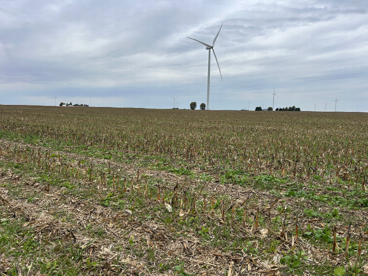 An overview of the confluence looking northwest towards the point (it is in the field).