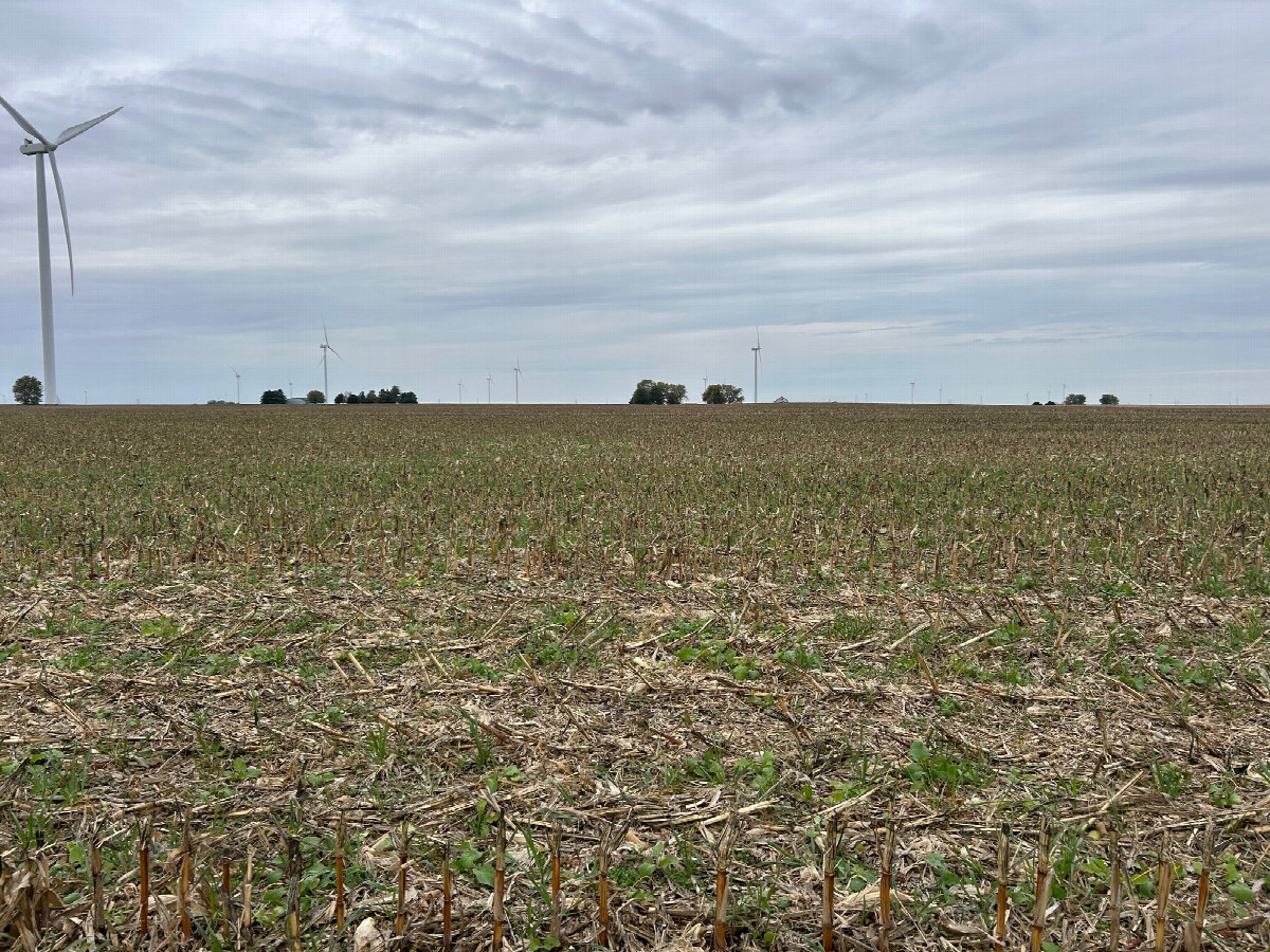 A view to the north from the confluence, toward School Rd.