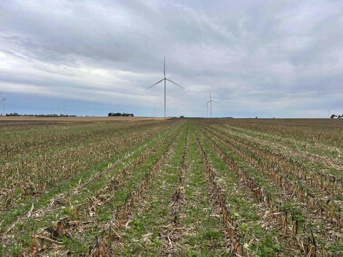 A view to the west from the confluence, toward more turbines.
