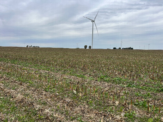 #1: An overview of the confluence looking northwest towards the point (it is in the field).