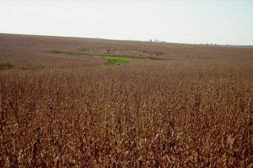 Looking north