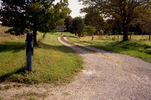 From the access road, looking east.