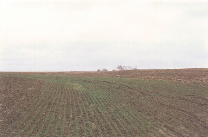 The view east from the confluence, looking toward the Leinberger Rd farm.