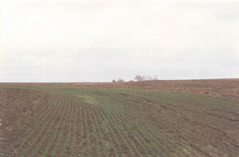 #1: The view east from the confluence, looking toward the Leinberger Rd farm.